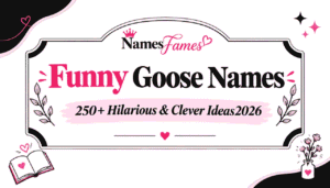 Funny Goose Names: 250+ Hilarious & Clever Ideas