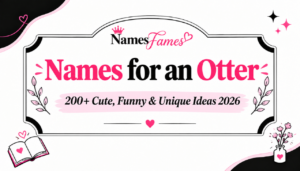 Names for an Otter: 200+ Cute, Funny & Unique Ideas