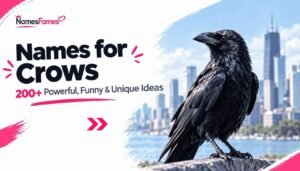 Names for Crows: 200+ Powerful, Funny &amp; Unique Ideas