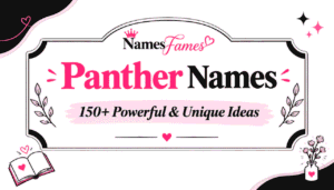 Panther Names: 150+ Powerful & Unique Ideas