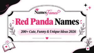 Red Panda Names: 200+ Cute, Funny & Unique Ideas