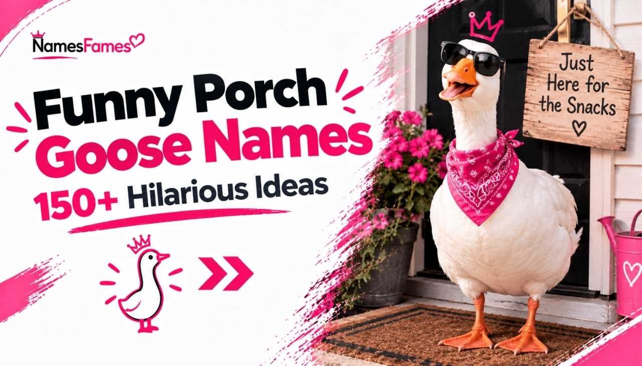Funny Porch Goose Names: 150+ Hilarious Ideas